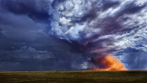 Photo Workshop at Orpheus Island